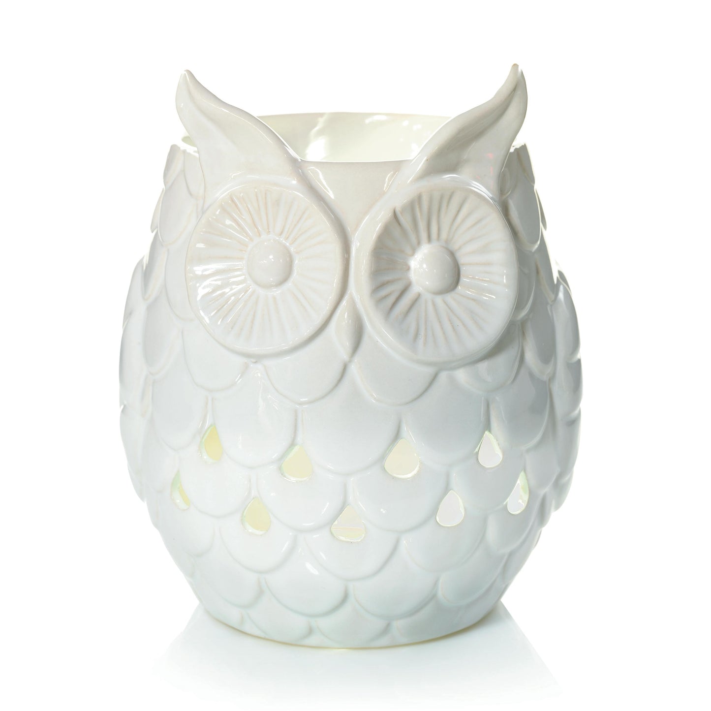 Owl B18