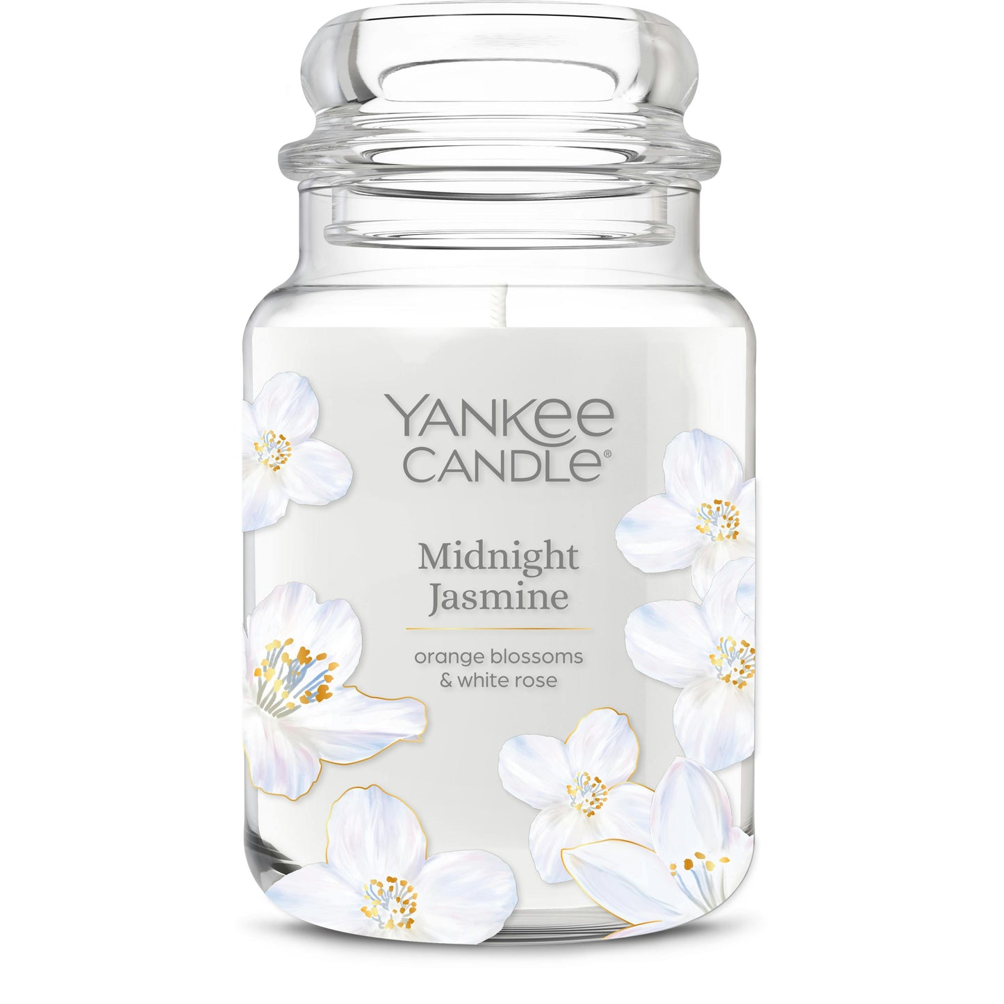 Midnight Jasmine 4CK
