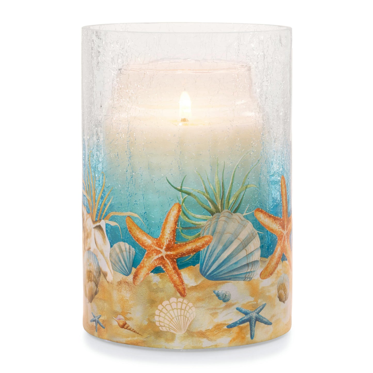 Coastal Jar Candle Holder 8FR