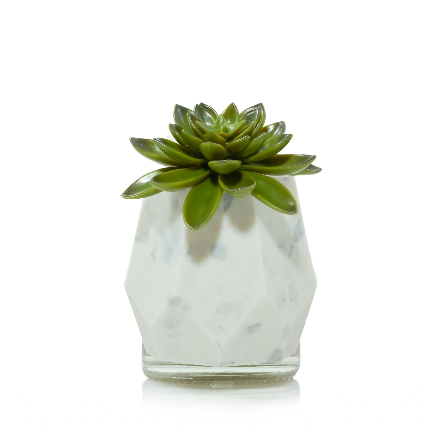 Faceted Succulent ScentPlug® Diffuser with Light 49I