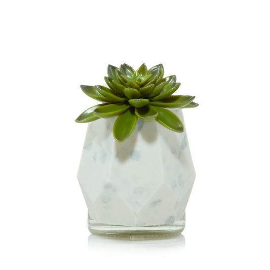 Faceted Succulent ScentPlug® Diffuser with Light 49I
